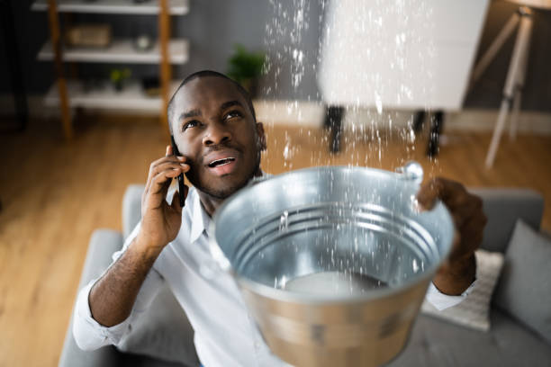 Reliable New Wilmington, PA Water damage restoration Solutions