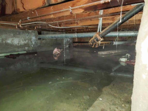 Best Commercial water damage restoration  in New Wilmington, PA