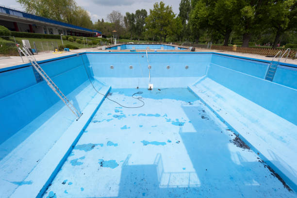 Best Water damage restoration mold remediation  in New Wilmington, PA