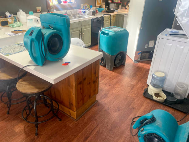 Best Water damage restoration near me  in New Wilmington, PA