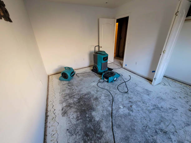 Best Flood restoration services  in New Wilmington, PA