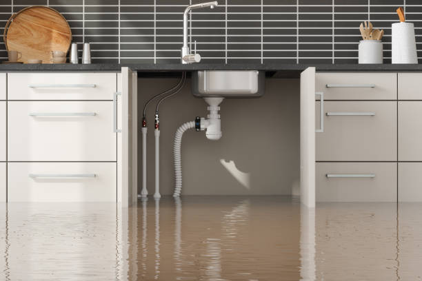 Best Fire Damage Restoration  in New Wilmington, PA
