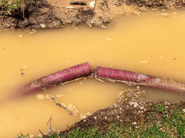 Best 24-hour water damage restoration  in New Wilmington, PA